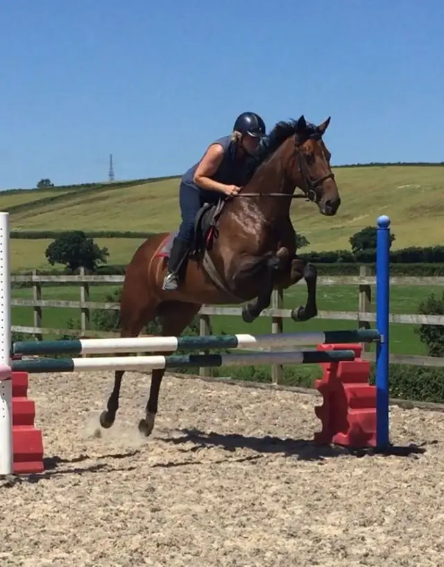 Horse jumping at Maes Knoll Farm