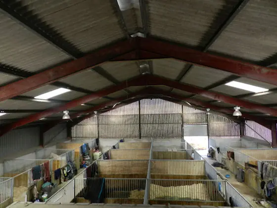 American barn stabling